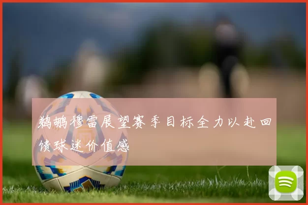 鹈鹕穆雷展望赛季目标全力以赴回馈球迷价值感