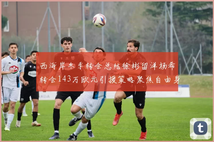 西海岸冬季转会总结徐彬留洋杨希转会143万欧元引援策略聚焦自由身球员