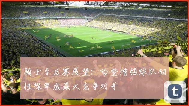 骑士季后赛展望：哈登增强球队韧性绿军成最大竞争对手